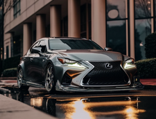 Jaliscos Carbon Fiber