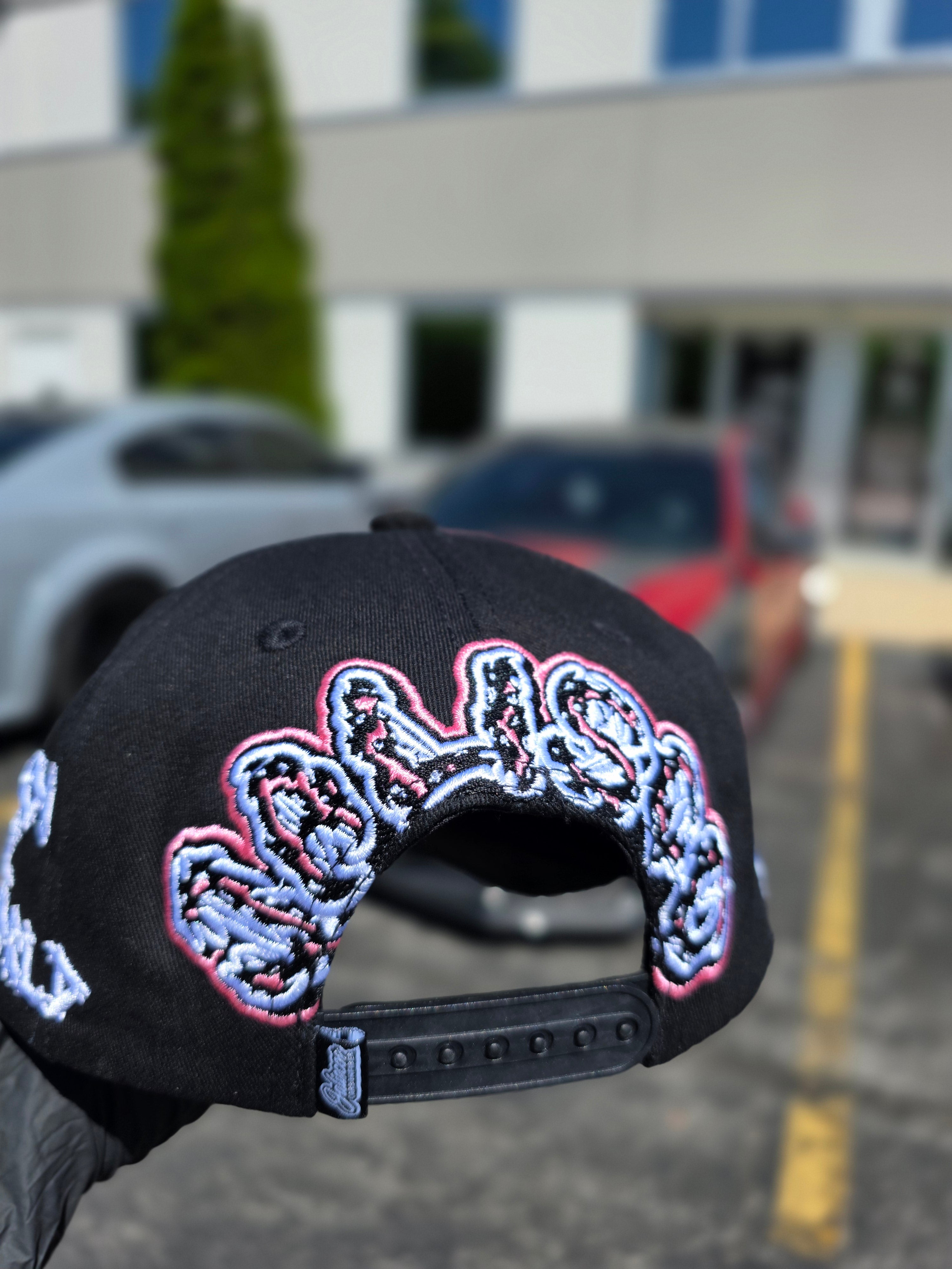 JCF "Carbon The World" Merch Hat
